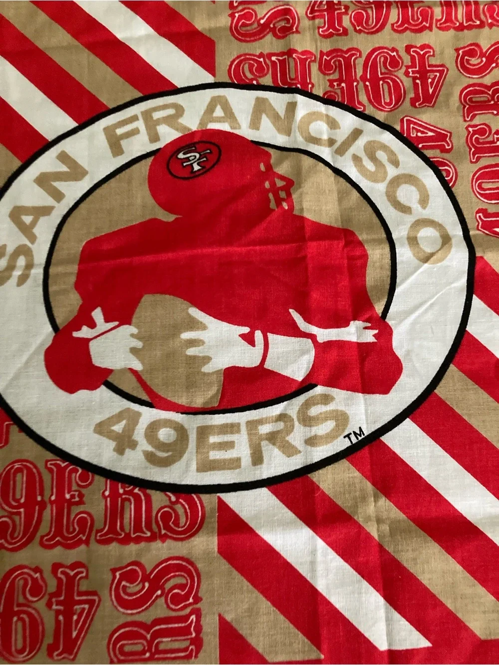 49Ers official san